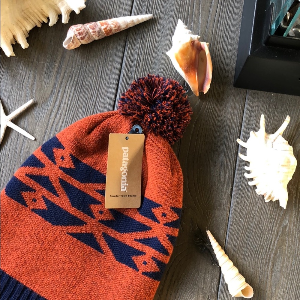 🔥🔥 Patagonia BEANIE 🔥🔥 - Picture 3 of 6